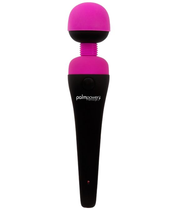 Palmpower Rechargable