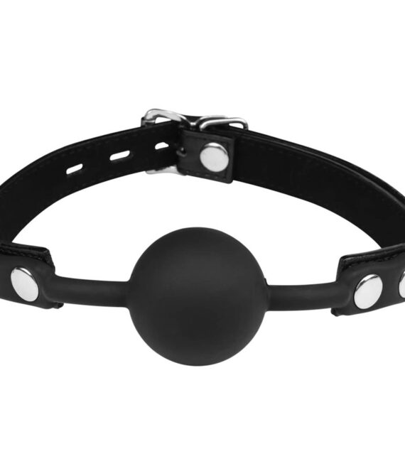 Behave – Be Quiet Gagball