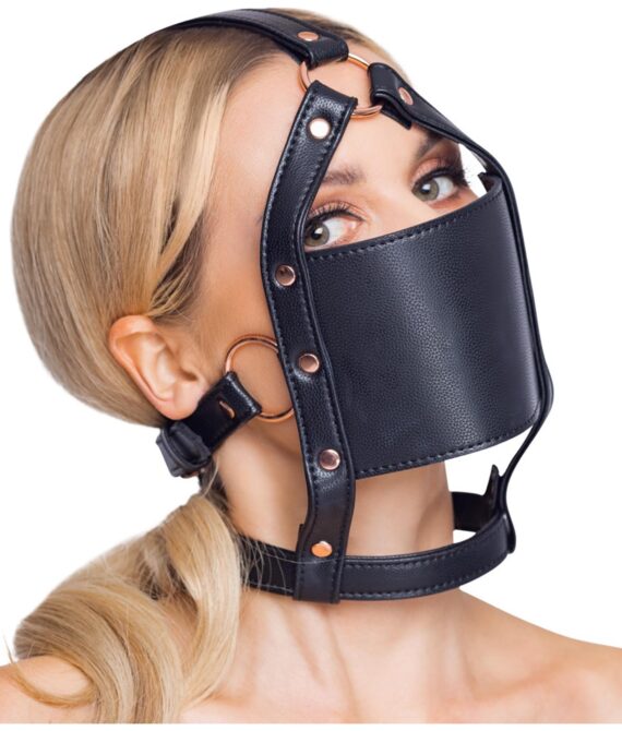 Head Harness With A Gag