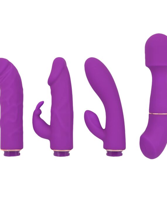 Ultimate Vibrator Kit