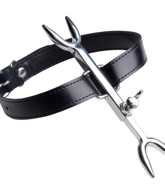 Strict Leather Heretics Fork Halsbånd       – Sort
