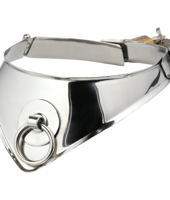 Kiotos Steel Cleopatra Låsbar Metal Halsbånd med O-ring   – Sølv